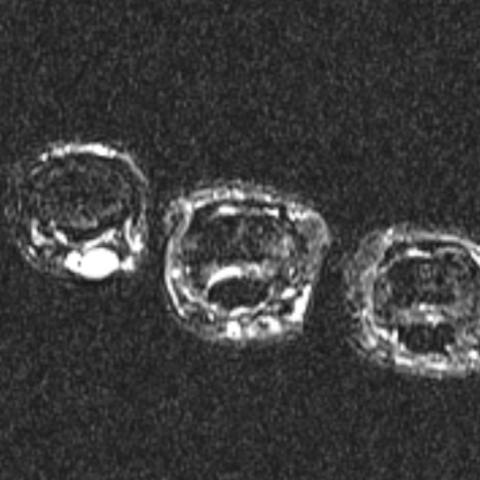 ac04b1bf306e59d409649441f0a3c991.jpg ac04b1bf306e59d409649441f0a3c991.jpg