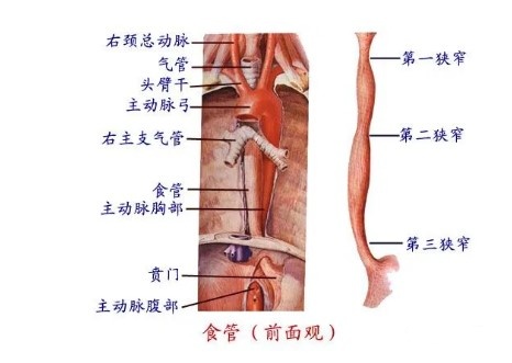 51c52f5a36e5d07c100a310eb1da1555.jpeg 51c52f5a36e5d07c100a310eb1da1555.jpeg