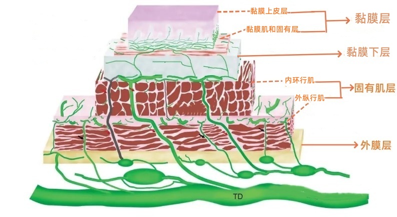 6c174513dde22e93dfc031e7c3c12c05.jpeg 6c174513dde22e93dfc031e7c3c12c05.jpeg