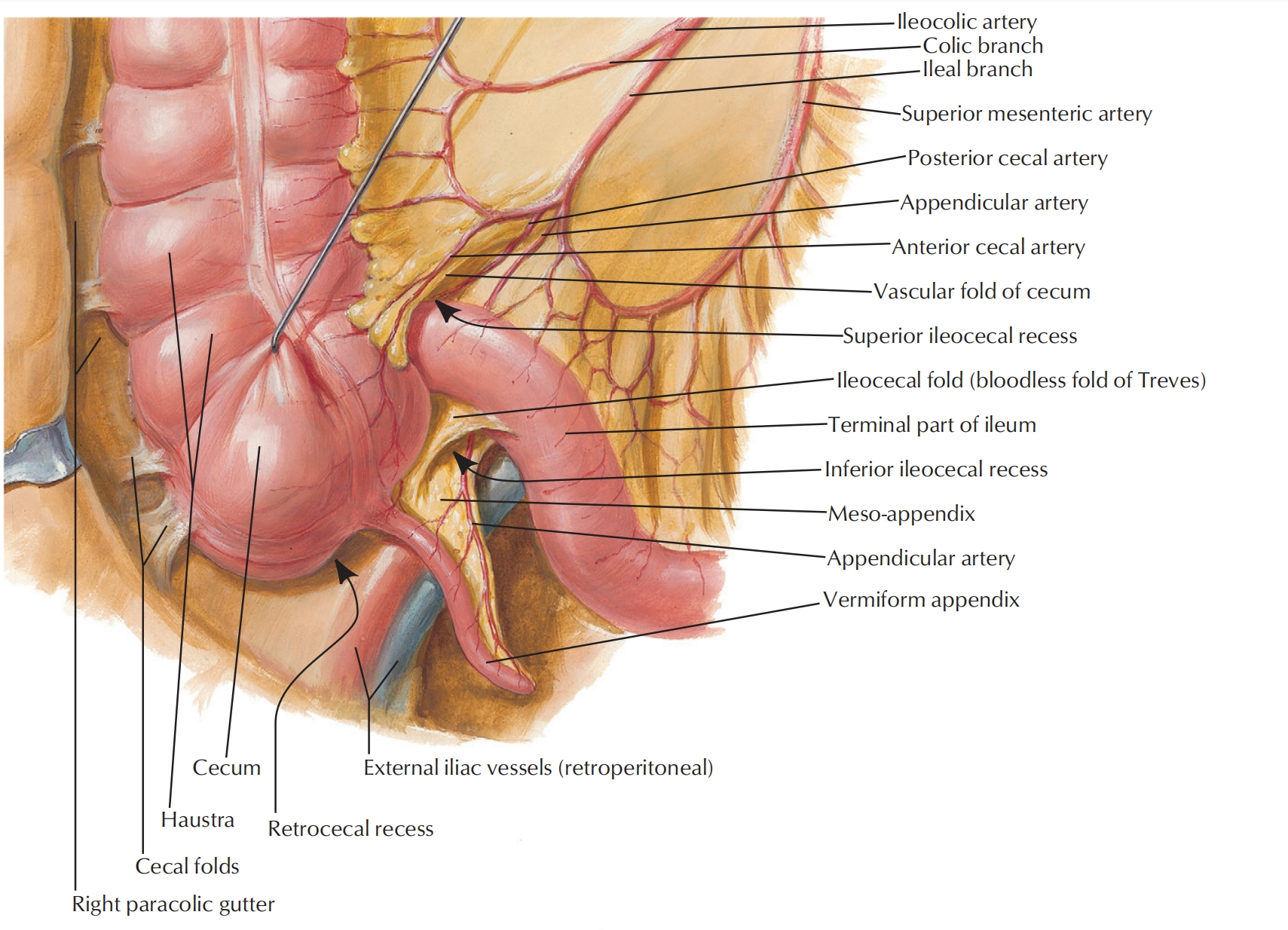 3b6dcc095146c466458368144d8ee93b.png 3b6dcc095146c466458368144d8ee93b.png